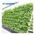 hydroponic greenhouse for Lettuce